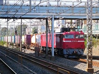 EF81 55